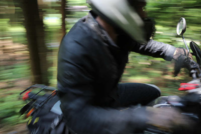 Racing through the woods on our way to an abandoned homestead buried deep in the mountains.